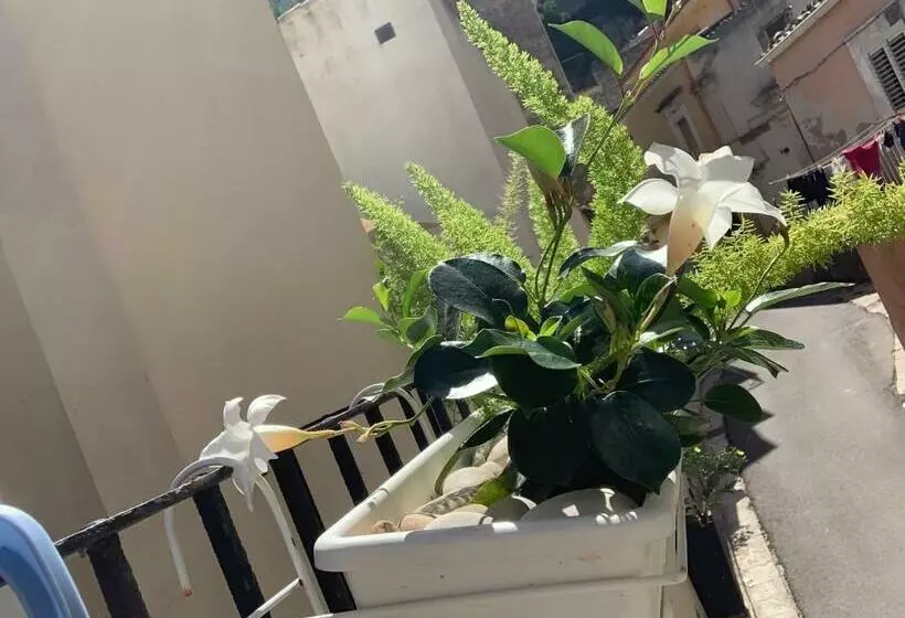 پانسیون Il Canale Design House