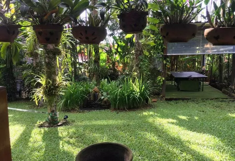 ペンション Sunflowerbungalow