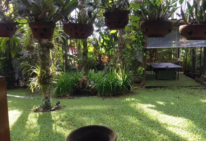ペンション Sunflowerbungalow