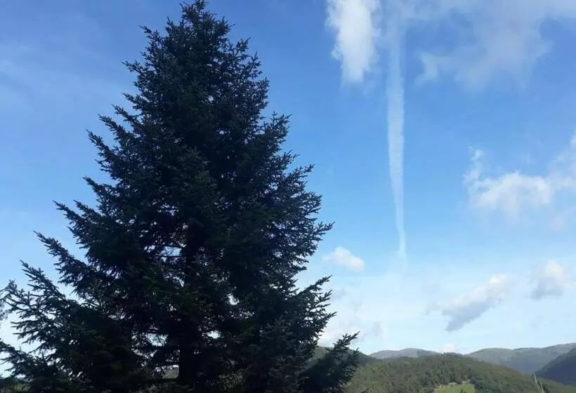 Aamiaismajoitus (B&B) Ca  Du Tu