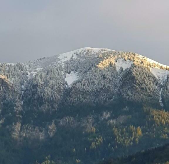 住宿加早餐 El Camino