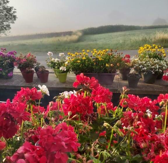 تختخواب و صبحانه Claire De Meuse Rooms Of December Fairyland