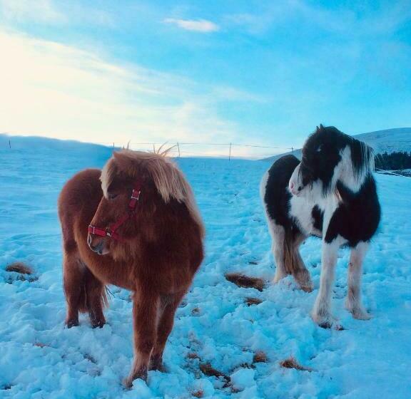 مبيت وإفطار Bowtop Wagon At Lettoch Farm