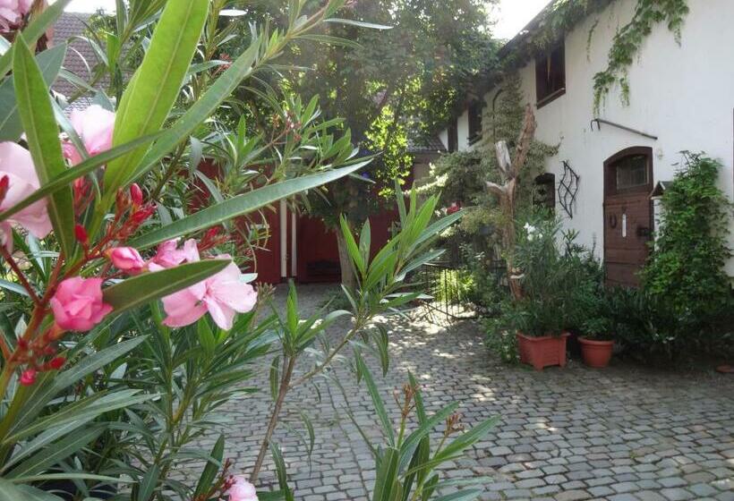 住宿加早餐 Pension Deerkemer Kuh