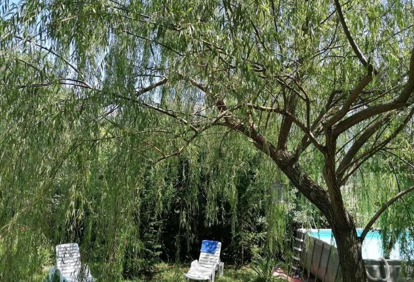 Отель Tenuta Castelli