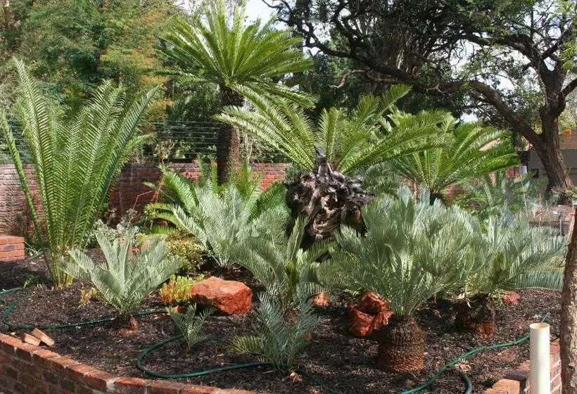 Oryx B&b Reserved Guests Only