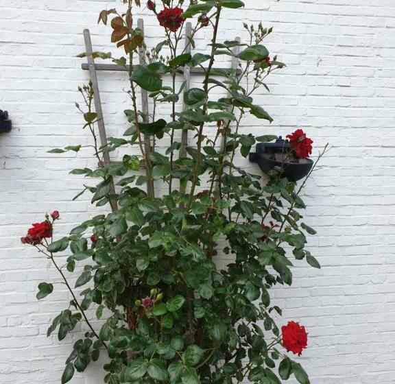 膳宿费 Garni Haus Dithmarschen