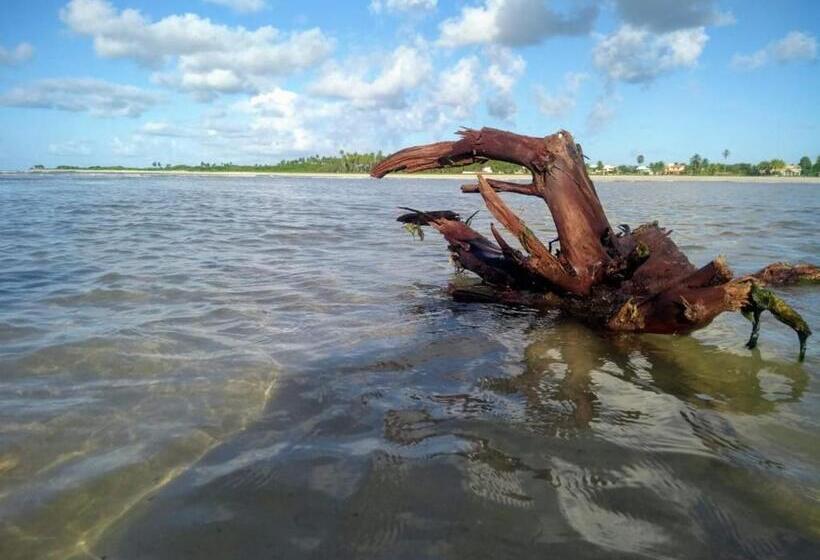 פנסיון Recanto Das Folhas