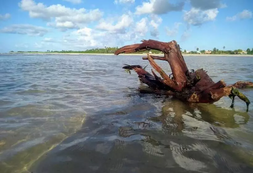 Majatalo Recanto Das Folhas