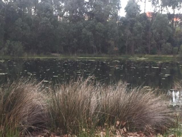 פנסיון Telperio Guest Suite Max 4 Guests