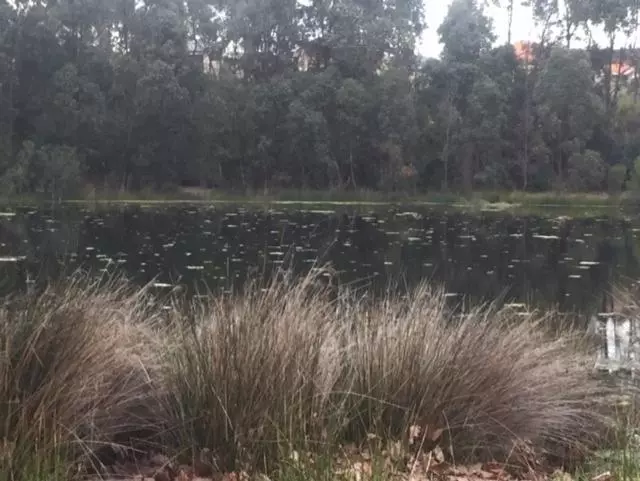 Majatalo Telperio   Guest Suite Max 4 Guests