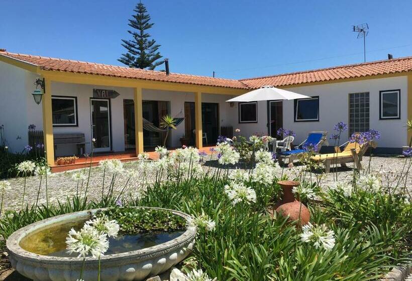 פנסיון Vagos Art.lab