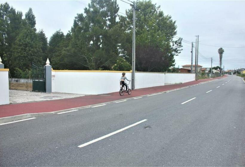 פנסיון Vagos Art.lab