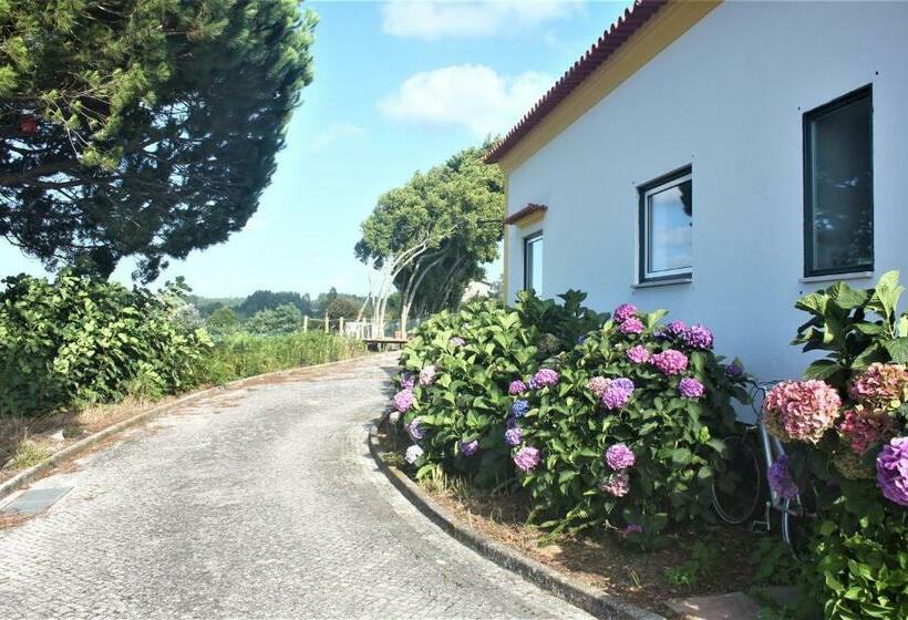 פנסיון Vagos Art.lab