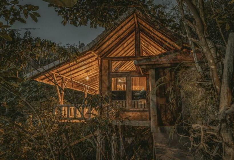 ユースホステル Gumi Ayu Ecostay