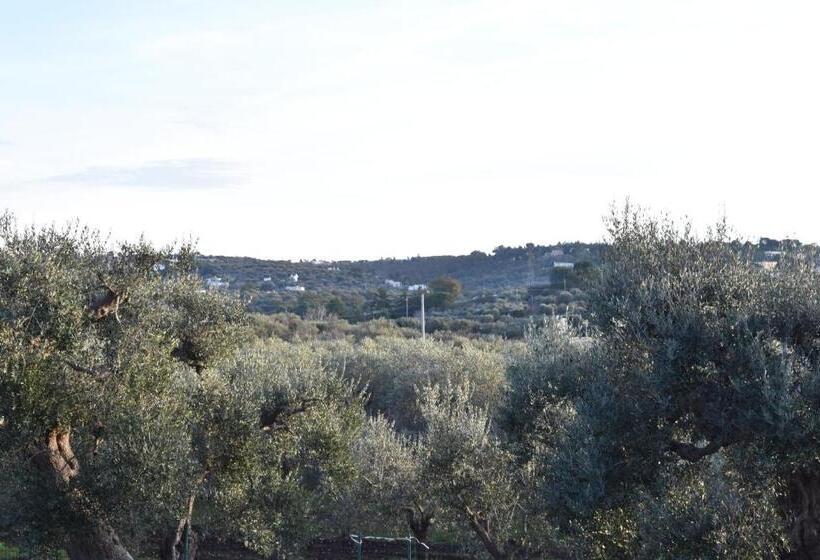 مبيت وإفطار Dimora Sofia