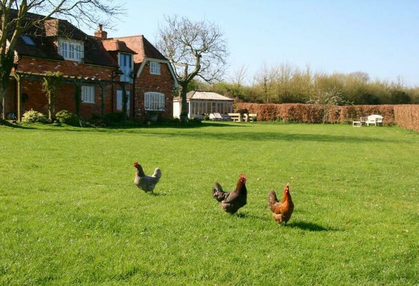 Bed and Breakfast Thatched Cottage