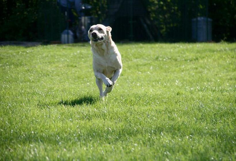 Bed and Breakfast Thatched Cottage