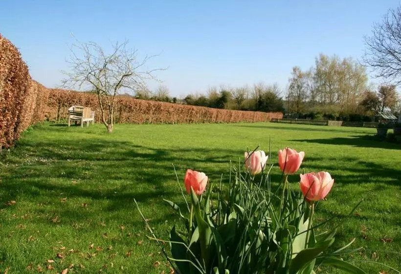 Aamiaismajoitus (B&B) Thatched Cottage