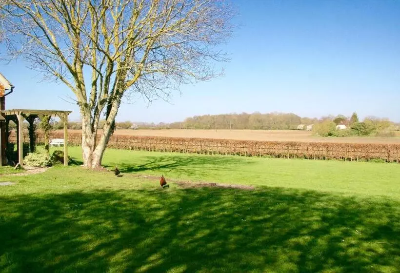 Aamiaismajoitus (B&B) Thatched Cottage