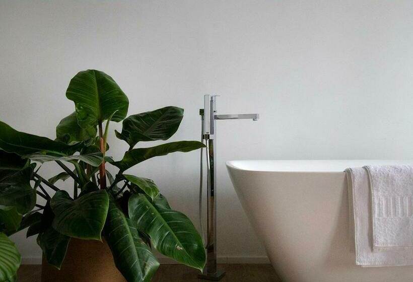 تختخواب و صبحانه The Greenhouse