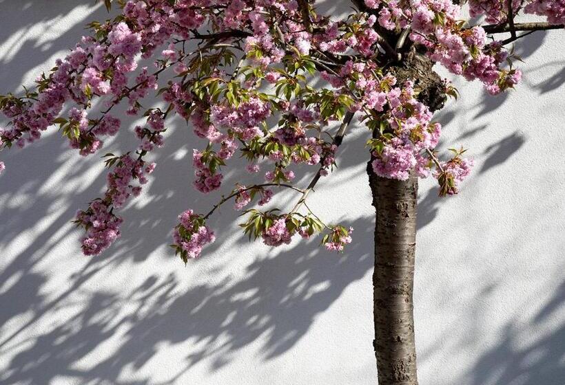 تختخواب و صبحانه The Greenhouse