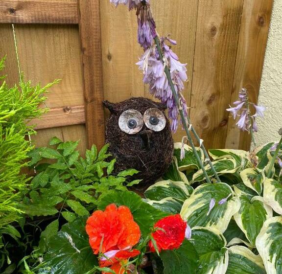 پانسیون The Hideaway