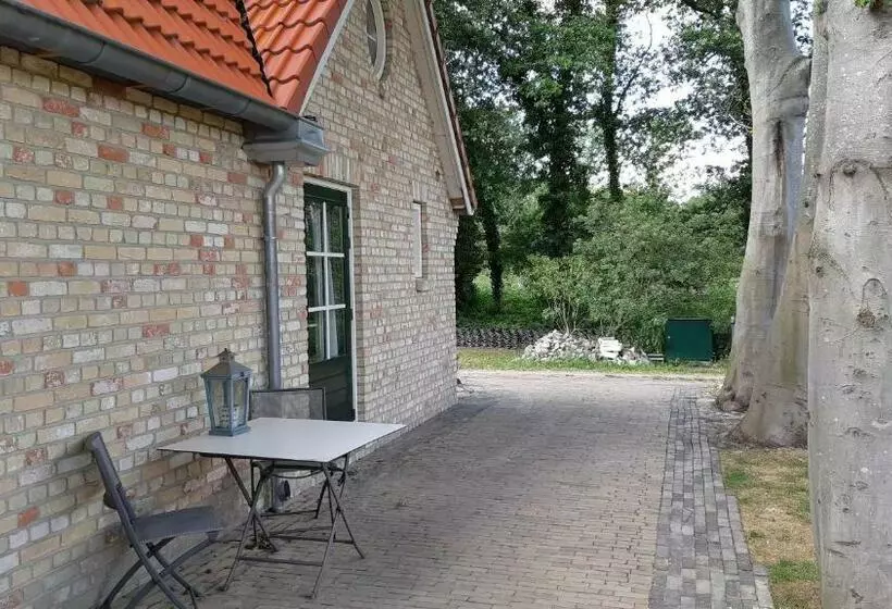 Aamiaismajoitus (B&B) De Waterjuffer