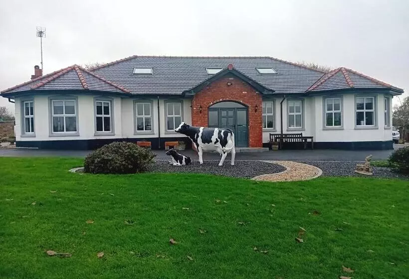 ベッドアンドブレックファースト Creeghduff Lodge