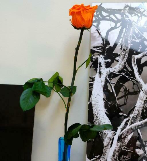 ベッドアンドブレックファースト La Maison Du Sculpteur