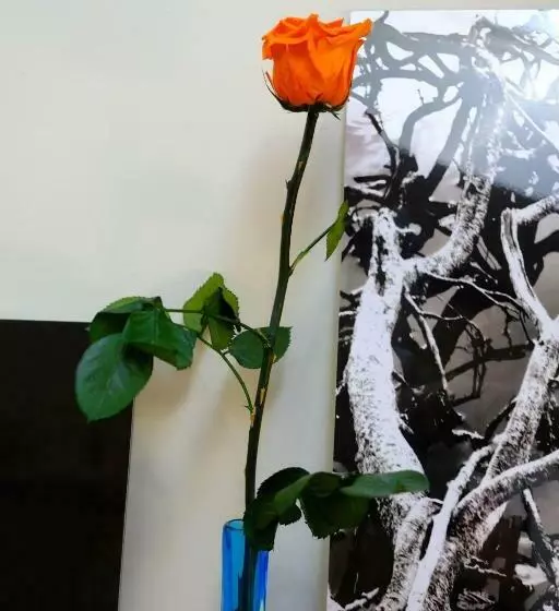 ベッドアンドブレックファースト La Maison Du Sculpteur