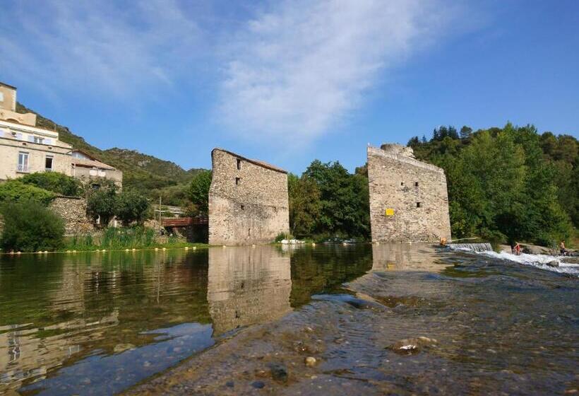 ベッドアンドブレックファースト O Bonheur De L Olivier Chambres Et Gîtes 4 étoiles