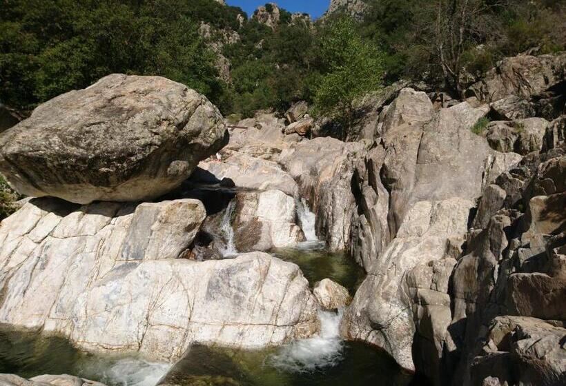 ベッドアンドブレックファースト O Bonheur De L Olivier Chambres Et Gîtes 4 étoiles