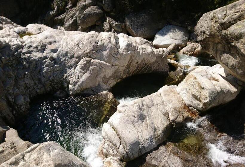 ベッドアンドブレックファースト O Bonheur De L Olivier Chambres Et Gîtes 4 étoiles