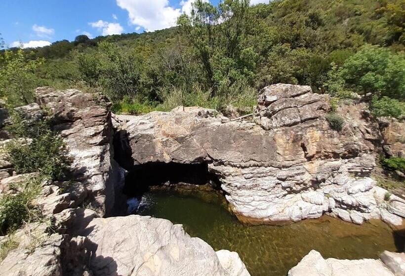 ベッドアンドブレックファースト O Bonheur De L Olivier Chambres Et Gîtes 4 étoiles