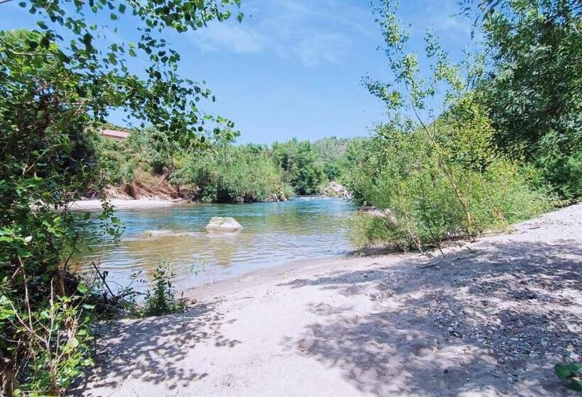 ベッドアンドブレックファースト O Bonheur De L Olivier Chambres Et Gîtes 4 étoiles