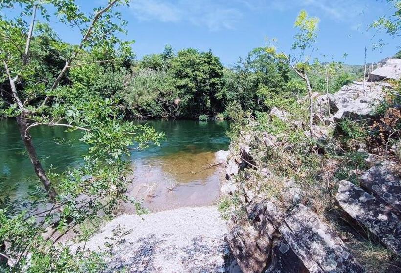 ベッドアンドブレックファースト O Bonheur De L Olivier Chambres Et Gîtes 4 étoiles