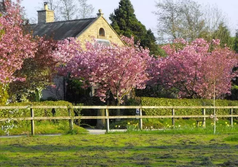 Bed and Breakfast Whitmore