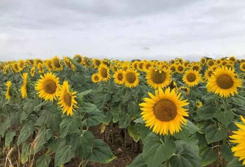 Bed and Breakfast Zone Bleue