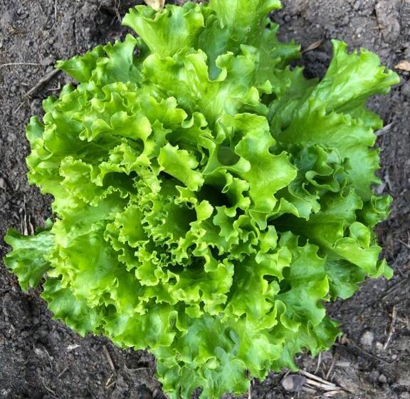 Bed and Breakfast Zone Bleue