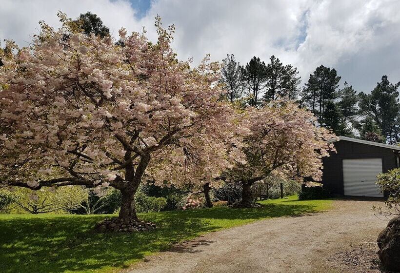 Hotel Haurata High Country Retreat/walks