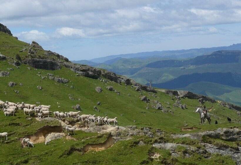 Hotel Haurata High Country Retreat/walks