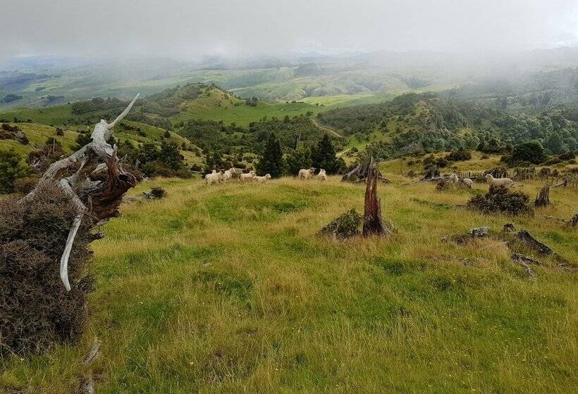 Hotel Haurata High Country Retreat/walks