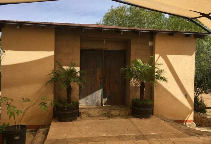 پانسیون Guest House Nativo Charming, Cozy & Affordable