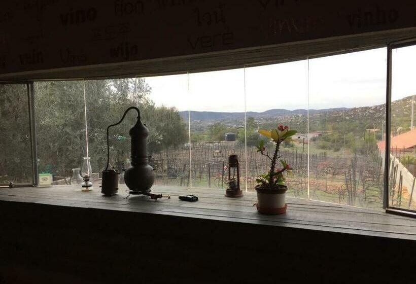 پانسیون Guest House Nativo Charming, Cozy & Affordable