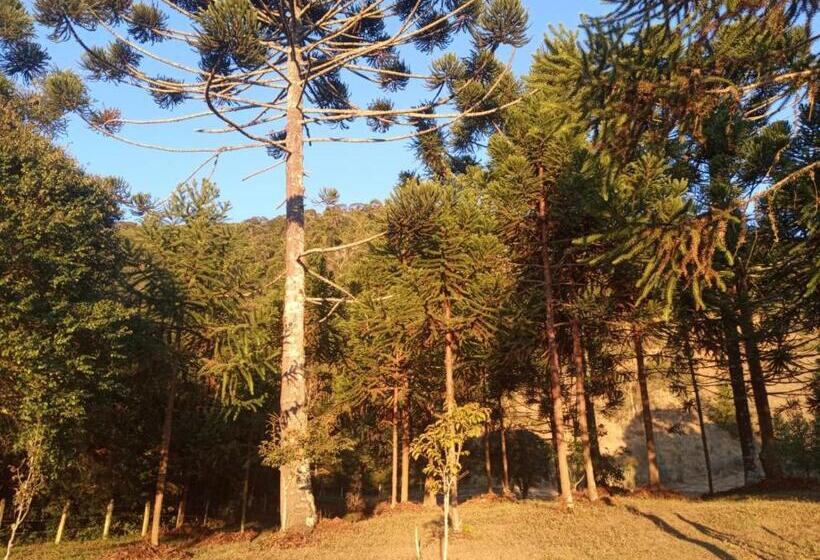 膳宿费 Pousada Estação Marmelo