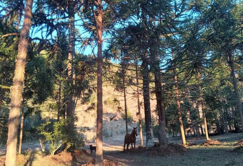 膳宿费 Pousada Estação Marmelo