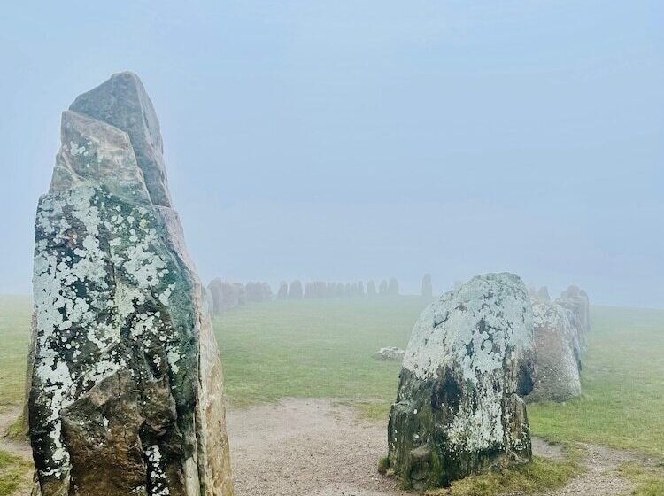 הוסטל Kåseberga Hideout