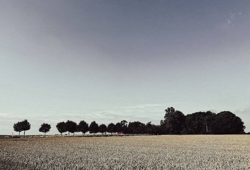 הוסטל Kåseberga Hideout