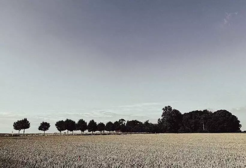 Retkeilymaja Kåseberga Hideout